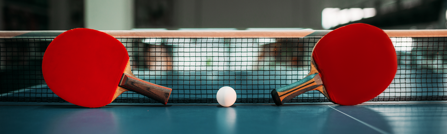 Outdoor Table Tennis - Olhausen Gamerooms